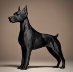 Striking Doberman - Image 2
