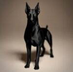 Striking Doberman - Image 4